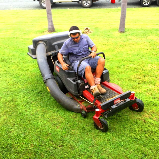 Local services are big on social media