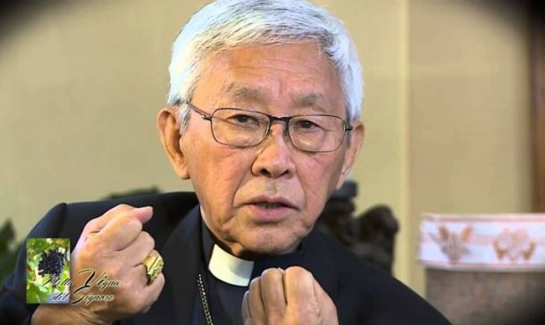 Vatican and international community urged to protest arrest of Hong Kong cardinal