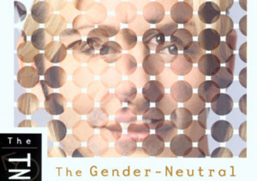 Evangelicals Worry over Accuracy of Newly Released "Gender-Neutral" Bible