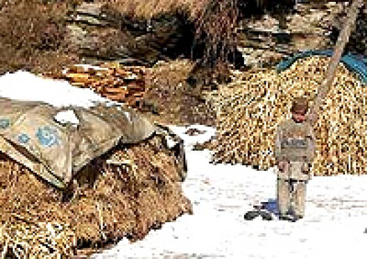 World Vision and ODC Aid Over 100,000 Unreached Quake Victims in Pakistan