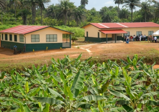 Helping Liberia Re-build