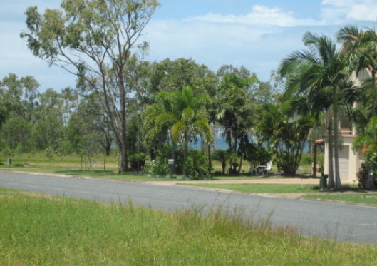 The view through the palms 