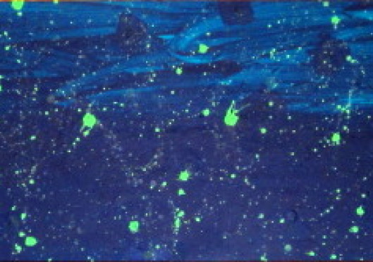 An anointing in founding a church that becomes a mega ministry is incompatible with over bearing governance - Best of 2012