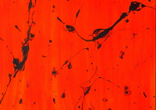 Granny flats and Missions have a long rich history of convenience and adaptability