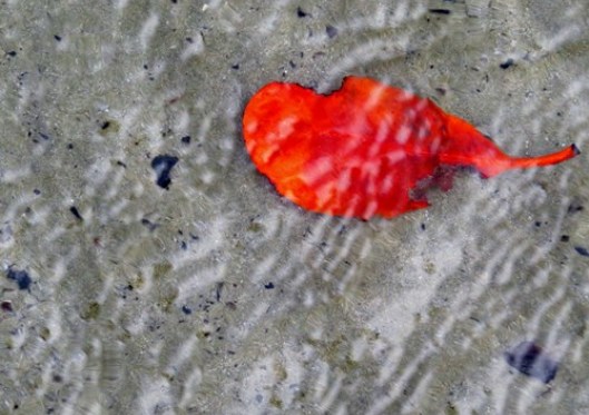 Still the main issue remains - population