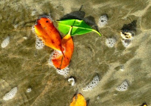 Testimonials from scientists who are Christians III – hope rests with our youth.