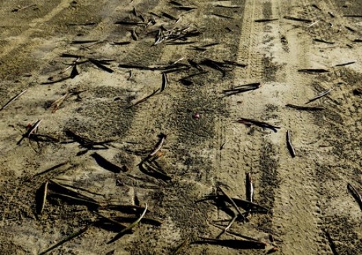 Many beautiful women got a free pass, now new stats show more women in court and sentenced