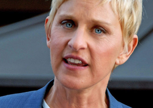 Ellen DeGeneres and Portia De Rossi shut down baby rumors
