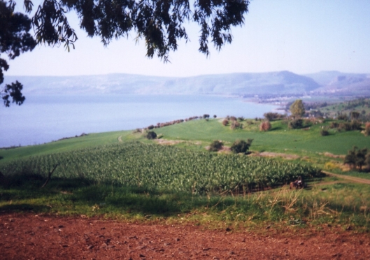 Purim celebrates Esther's role