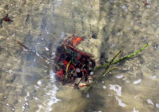 Defamation in public life and in Christian life