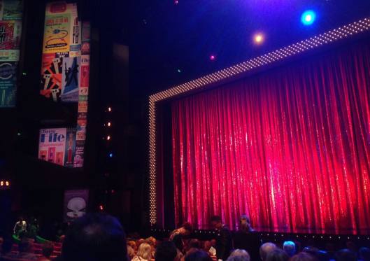 Strictly Ballroom the Strictly Unique Experience