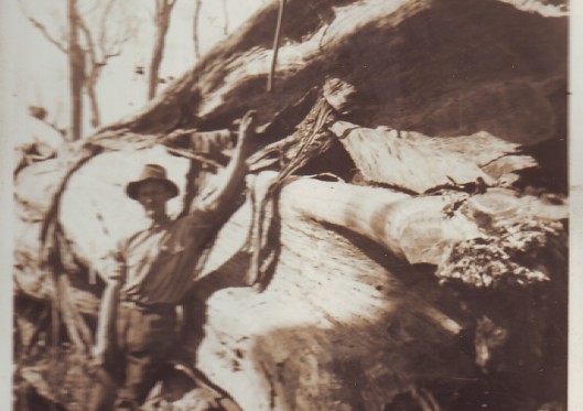 Australia Day – a celebration of our parents