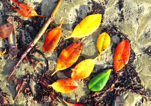 Un-tempted or Untried