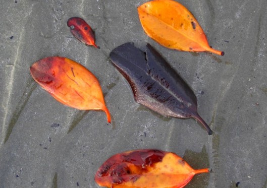 An anointing viz over-bearing governance