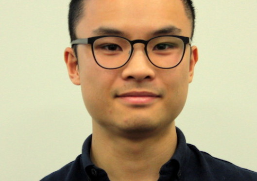 Through a glass darkly—the reality of horror movies