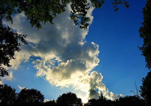 God; When you have stopped shouting I have something to say...