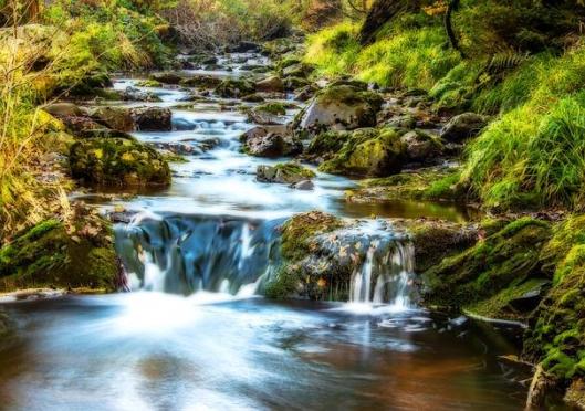 Let Him sing over your soul