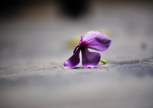 A grace-full mistake