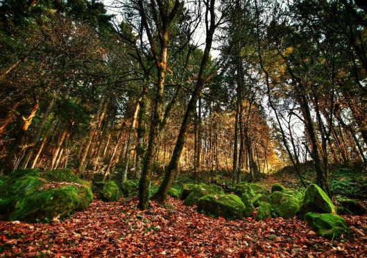 My Trip to Portland – Experiencing Rest