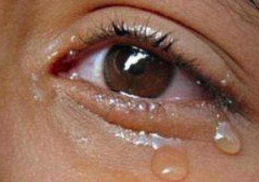 Sexual Abuse in the Churches