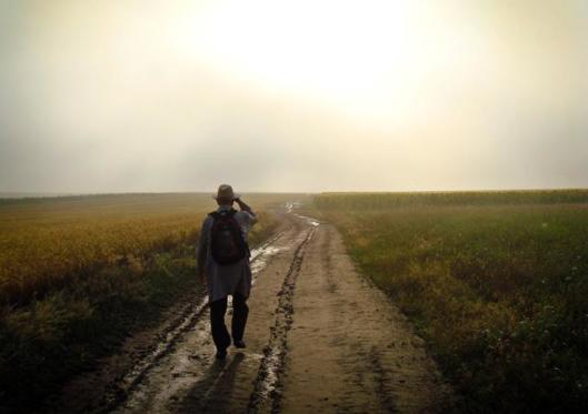 Homeward bound – Part 2