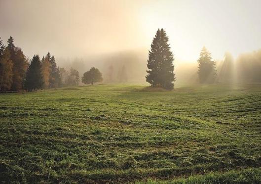 Lesser than Hope: The pursuit for the base expectations