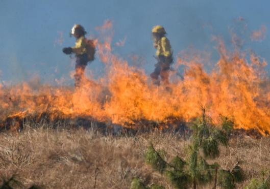Hillsong raises over $1m in response to Australian bushfire disaster