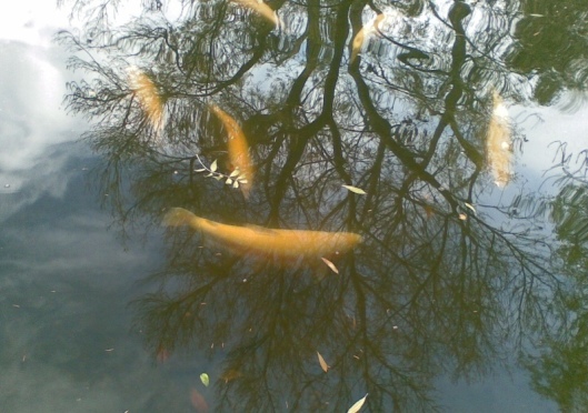 Thoughts and prayers