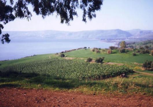 Good Friday - Reflections on Purim