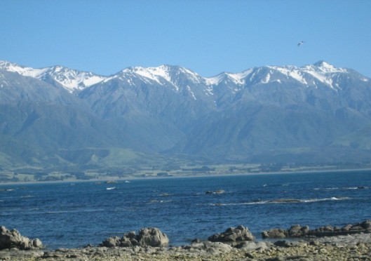 In a glacier for 42 years