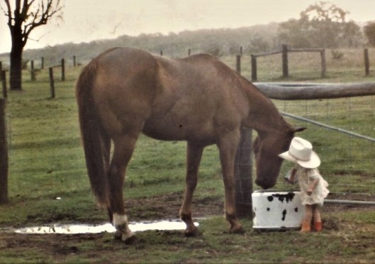 County, the Miracle Horse