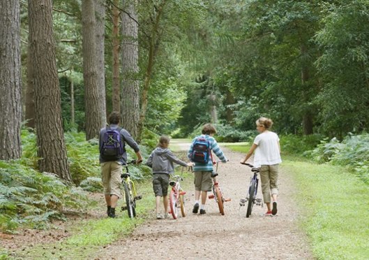 Now you know all about me!