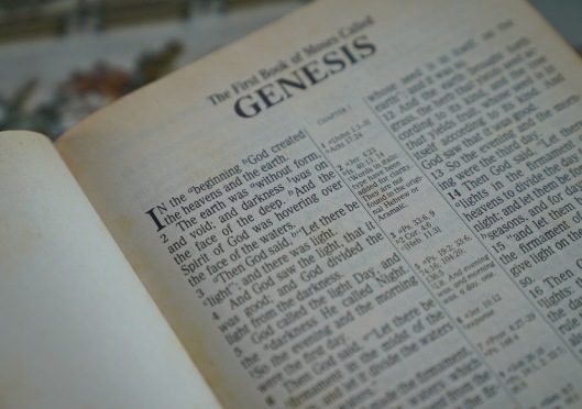 The Beauty of Genesis