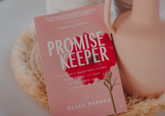 Book Review: Promise Keeper