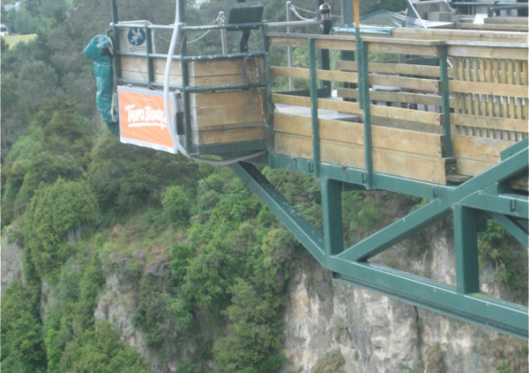 The Insurrection-Infection