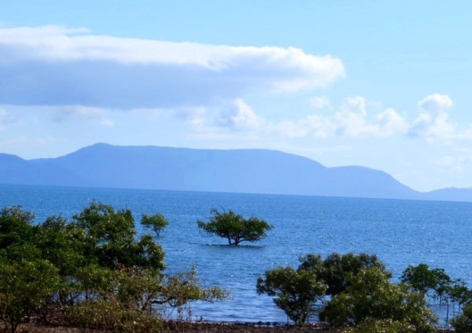 100% ‘water’ issues  