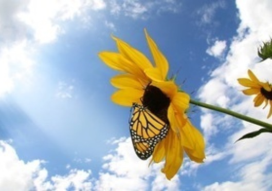 Don’t just survive—thrive!