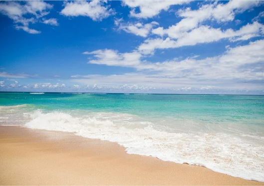 A slice of peace: for you and for me