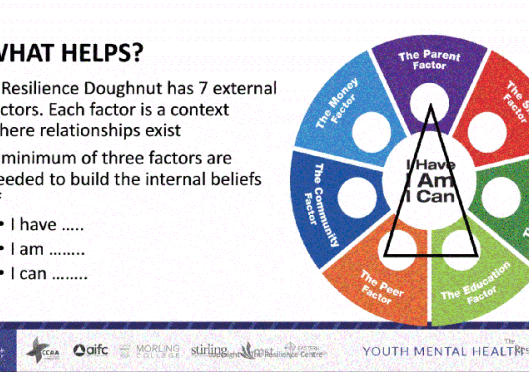 Youth Mental Health