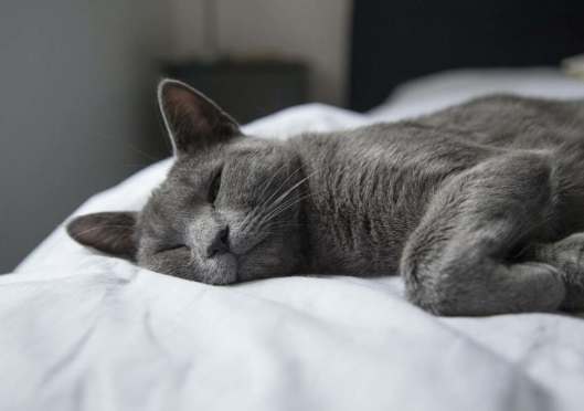 Come, all who are weary