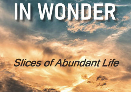 Journey In Wonder – ‘Slices of Abundant Life’