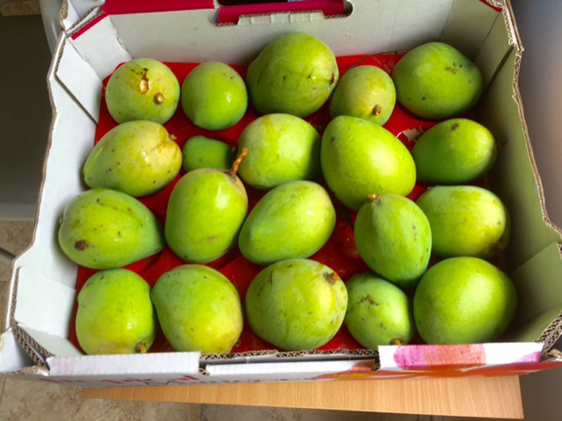 Bread, manna, mango - Vimarsana News