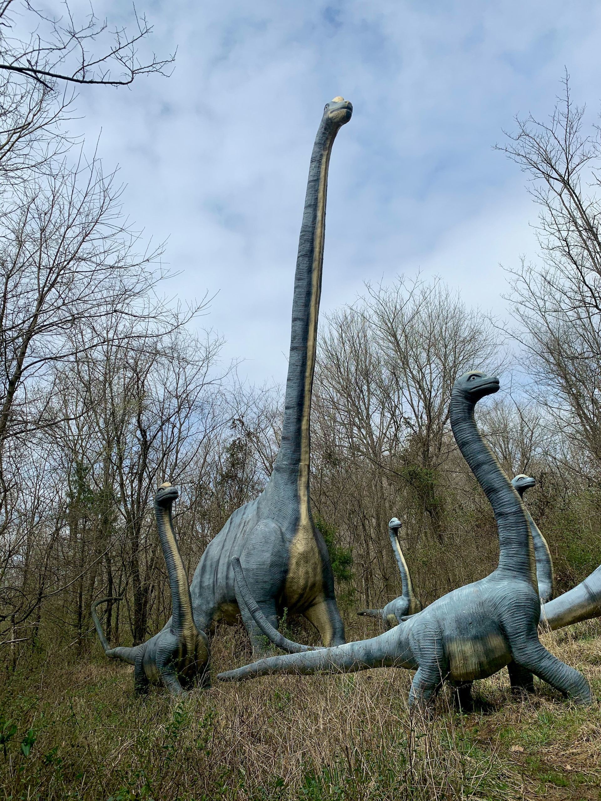 why-aren-t-dinosaurs-mentioned-in-the-bible-christiantoday-australia